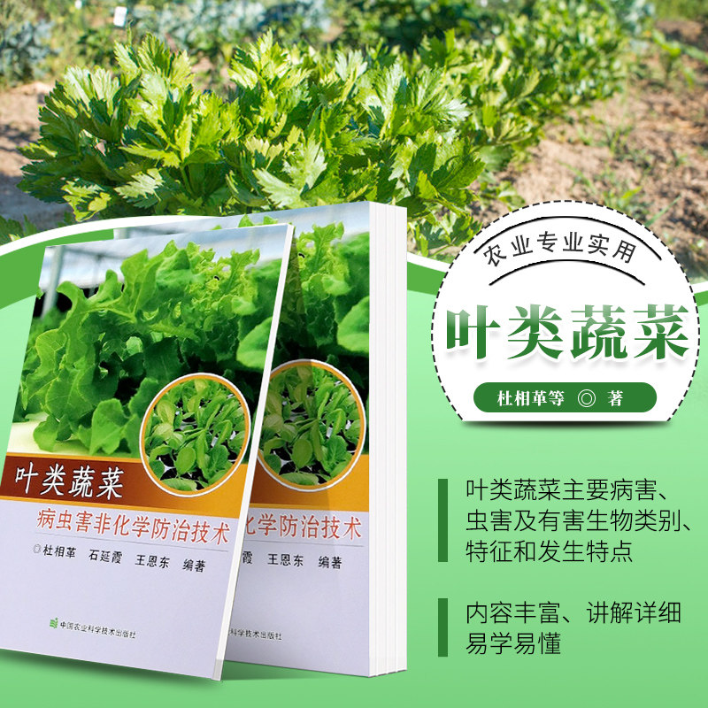 正版 叶类蔬菜病虫害非化学防治技术 杜相革 石延霞 王恩东