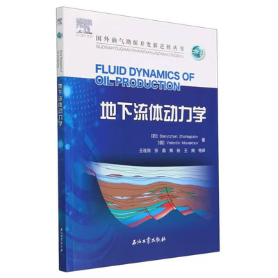 地下流体动力学流体渗流模型