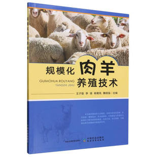 规模化肉羊养殖技术 规模化肉羊养殖营养配给技术 制定合理的分阶段饲养方案 规模化肉羊养殖繁殖技术 营养代谢病发病率的评估