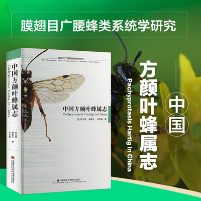 中国方颜叶蜂属志 中国方颜叶蜂属研究概况 研究材料与方法 方颜叶蜂属建立及内涵 属的地位和模式种确定 方颜叶蜂属研究简史讨论