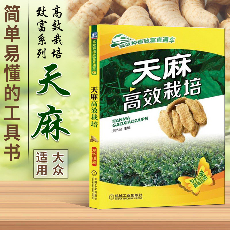 天麻高效栽培 天麻种植技术书籍 天麻病虫害诊断及综合防治技术 天麻种子种苗高产栽培与加工利用  中药材种植书籍天麻周年管理图片
