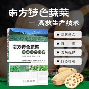 南方蔬菜优质丰产栽培技术书籍 正版 翁丽青 南方特色蔬菜高效生产技术 大棚室绿色有机番茄土豆辣椒白菜种植病虫害防治书 现货