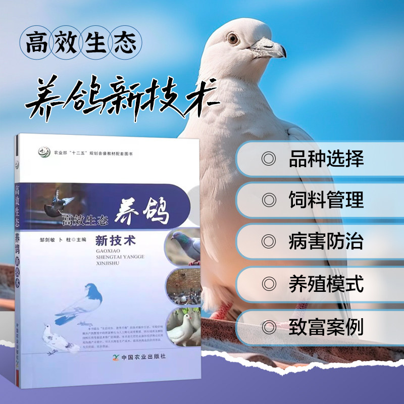 正版书籍 高效生态养鸽新技术 科学养鸽书籍 养殖肉鸽技巧宝典 养鸽子的书 信鸽书籍鸽子书  鸽子养殖书籍 养鸽技术指南大全书籍