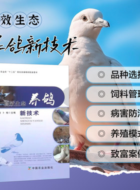 正版书籍高效生态养鸽技术科学