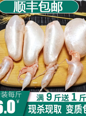 鱼泡鱼肚新鲜现杀白鲢草鱼杂鱼籽淡水鱼鳔花胶鱼胶冷冻2斤装商用