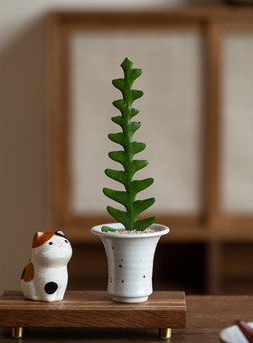 静艺花舍 鱼骨令箭仙人掌盆栽办公室内外桌面可爱花卉多肉植物