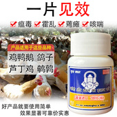 喘痢一喂停原装 鸡药病全治鸭鹅鸽子鹌鹑专用咳嗽蔫瘫拉稀 进口正品