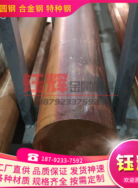 优质条铜板-0.1100mm铜片定制铜板紫 皮红紫铜紫 T2mm 加工零切