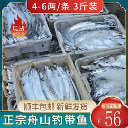 舟山带鱼新鲜冷冻3-10斤东海大吕四冰鲜海鲜油整条小眼钓刀鱼