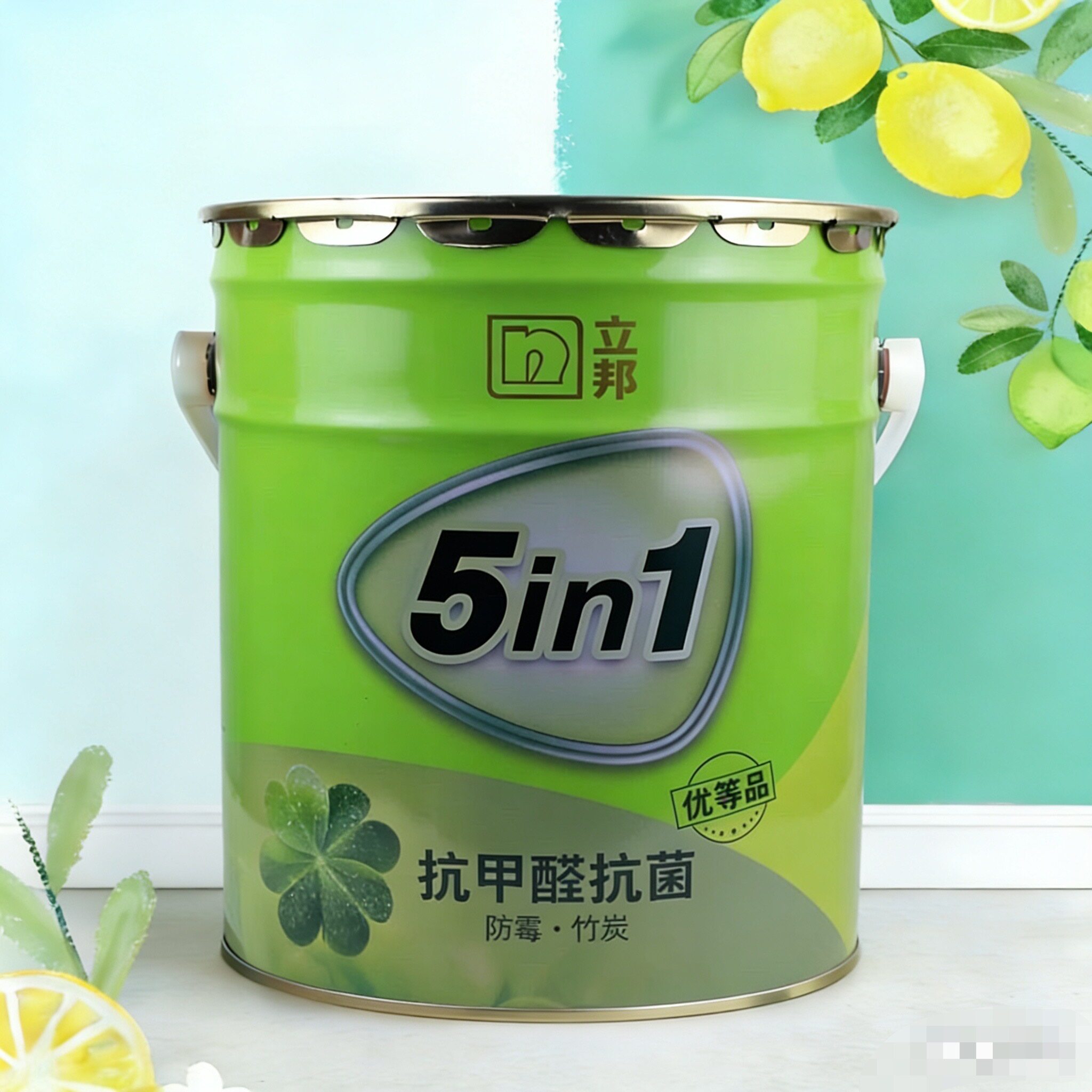 立邦竹炭抗菌防霉五合一乳胶漆套装室内家用墙面白色漆环保涂料