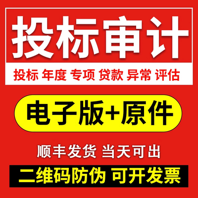 成都审计投标年检年度财务税务报表专项验资年审离任高新审计咨询