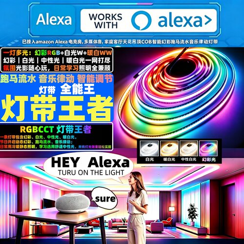 已接alexa智能amazon幻彩COB追光流水音乐律动彩色RGBCCT氛围灯带