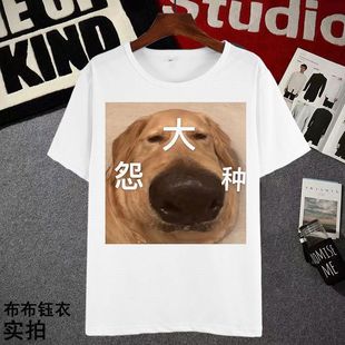 2025怨种大金毛短袖t恤夏季变形修勾大鼻子T恤恶搞表情包衣服男女