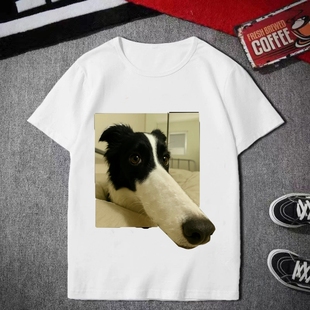 恶搞沙雕小狗短袖t恤男女夏季2025新款T恤搞笑表情包学生斗图衣服