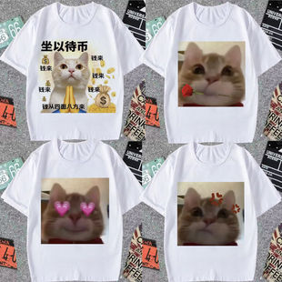 大头表情包短袖男歪嘴猫t恤女搞笑阿米诺斯小猫沙雕上衣学生半袖t