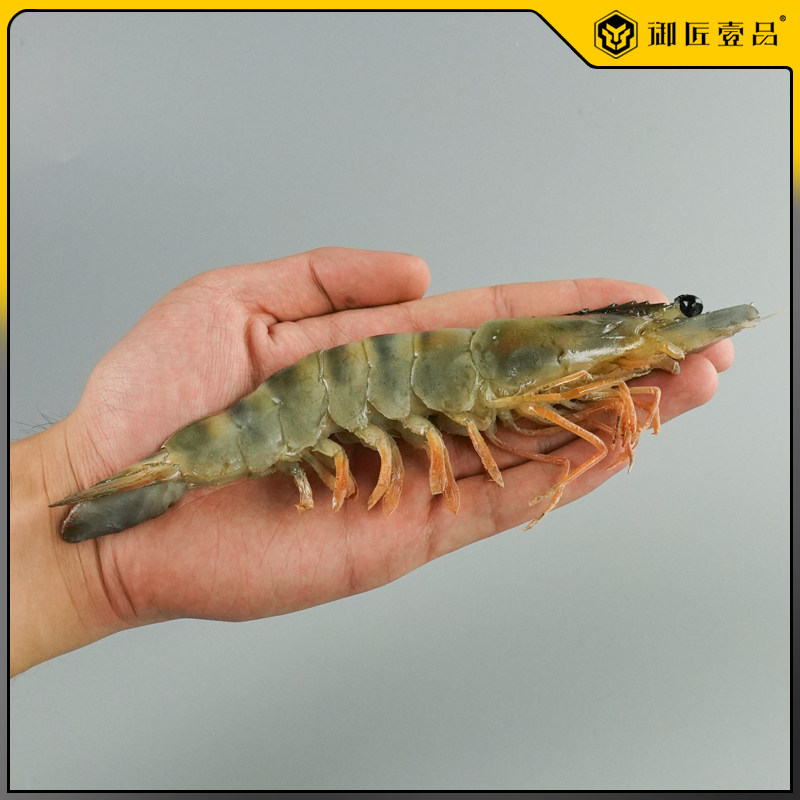 仿真黑虎虾阿根廷大红虾模型仿真海鲜水产样品假虾子道具皮皮虾