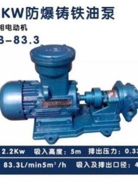 防爆KCB18.3/33.3/55/83.3齿轮泵润滑油泵柴油泵机油泵地沟油泵