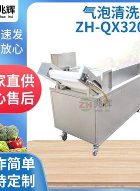 厂家提供器气泡清洗机ZH-QX3200型水果蔬菜不锈钢自动清洗机