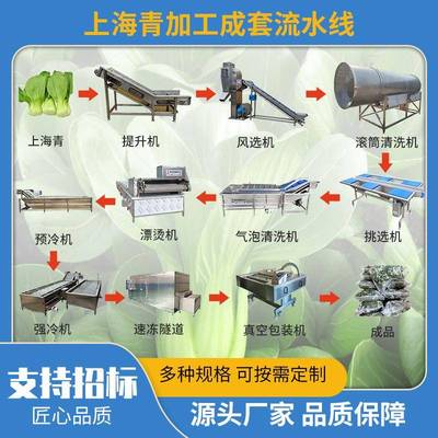 速冻上海青加工生产线 苏州青青江菜清洗杀青漂烫冷却流水线设备