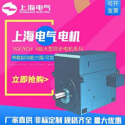 电动机YGF/YCH 4极大型异步电机 2800W厂