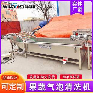 柑橘气泡清洗机 韭菜芹菜去杂清洗设备 蓝莓毛豆高压喷淋式清洗机
