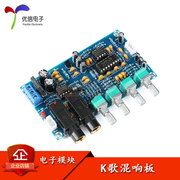 Karaoke âm vang ban hát karaoke/microphone kép khuếch đại/PT2399 xử lý tiếng vang/âm thanh phòng hát DIY