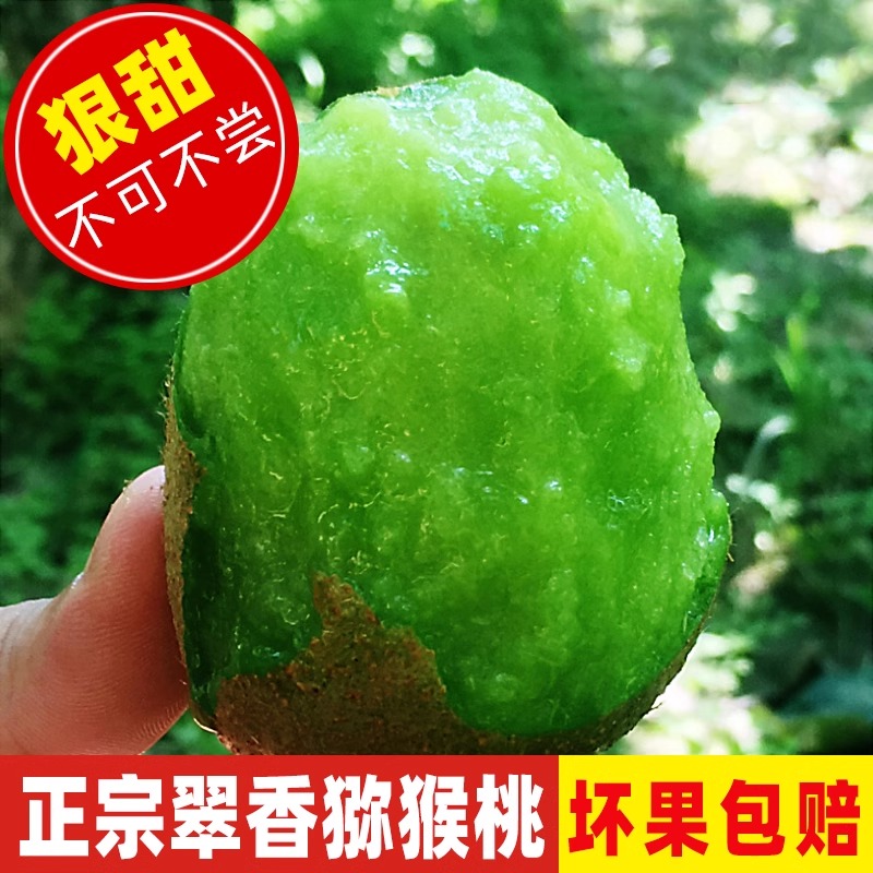 周至翠香猕猴桃正宗纯甜弥泥猴桃脆香应季新鲜中秋节水果整箱包邮
