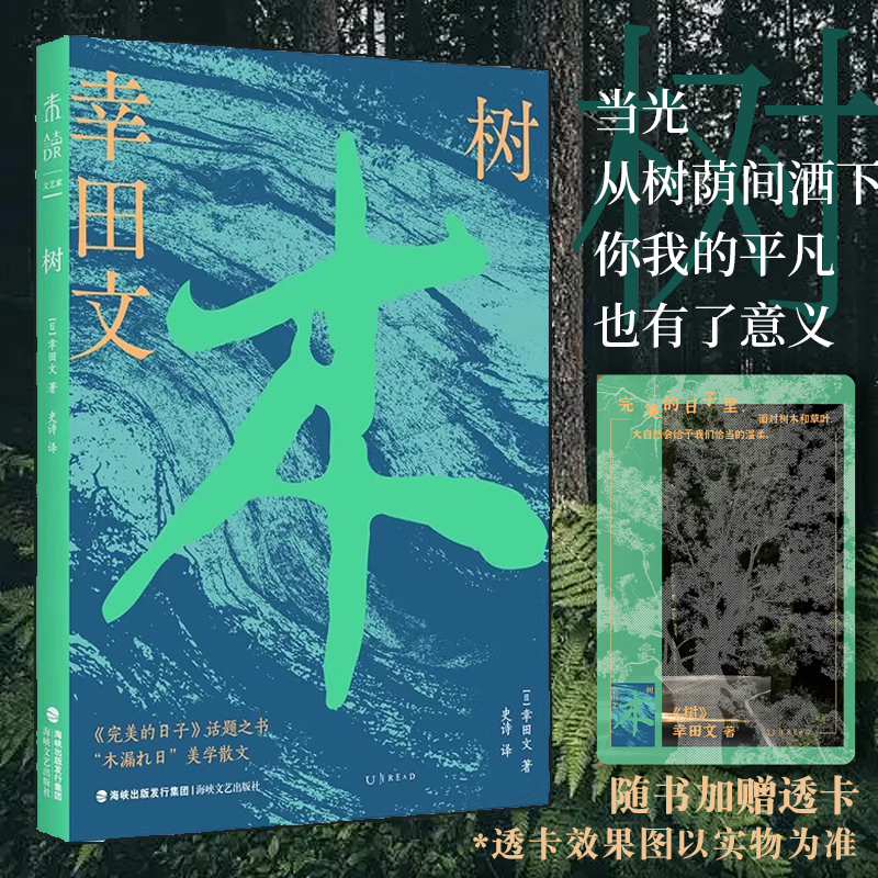 树 自然 旅行 美学散文 日常治愈
