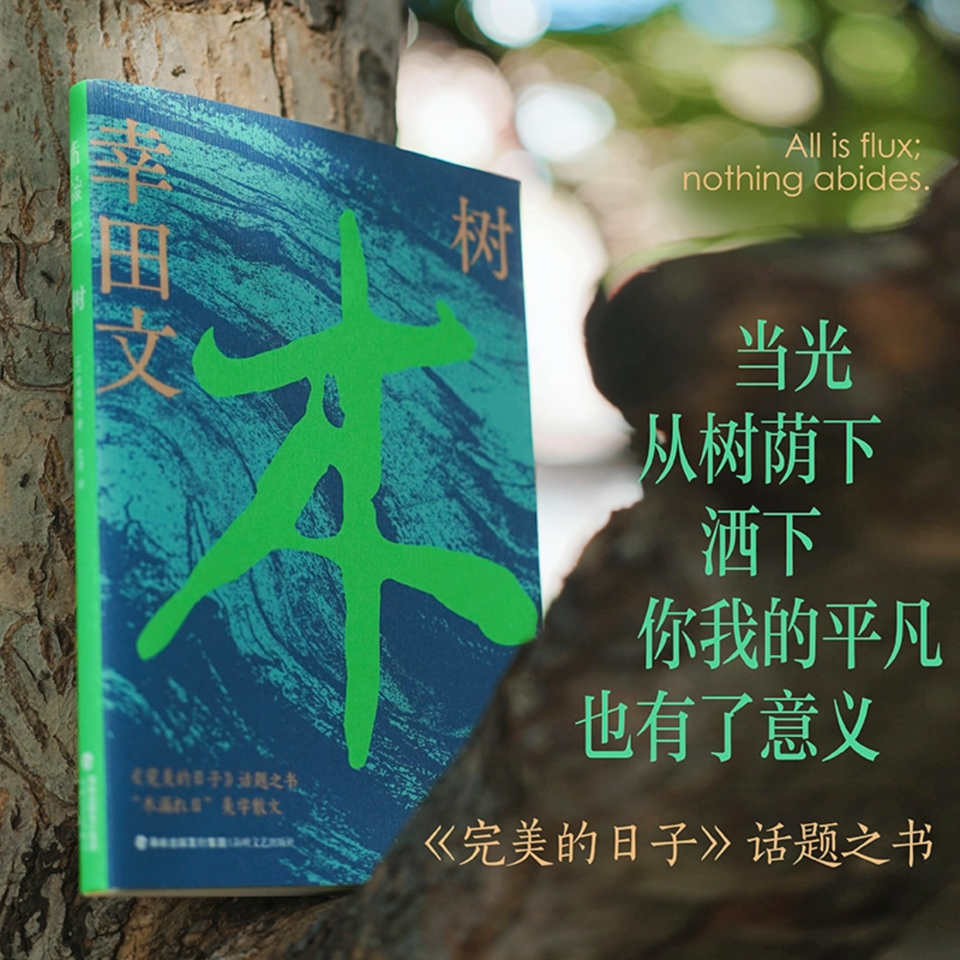树 自然 旅行 美学散文 日常治愈