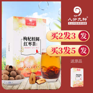 人分九种枸杞桂圆红枣茶花茶组合女人五宝气血女调理水果茶小袋装