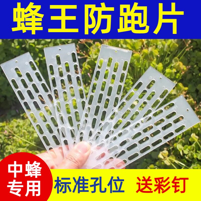 蜜蜂防逃片多功能隔王片养蜂工具
