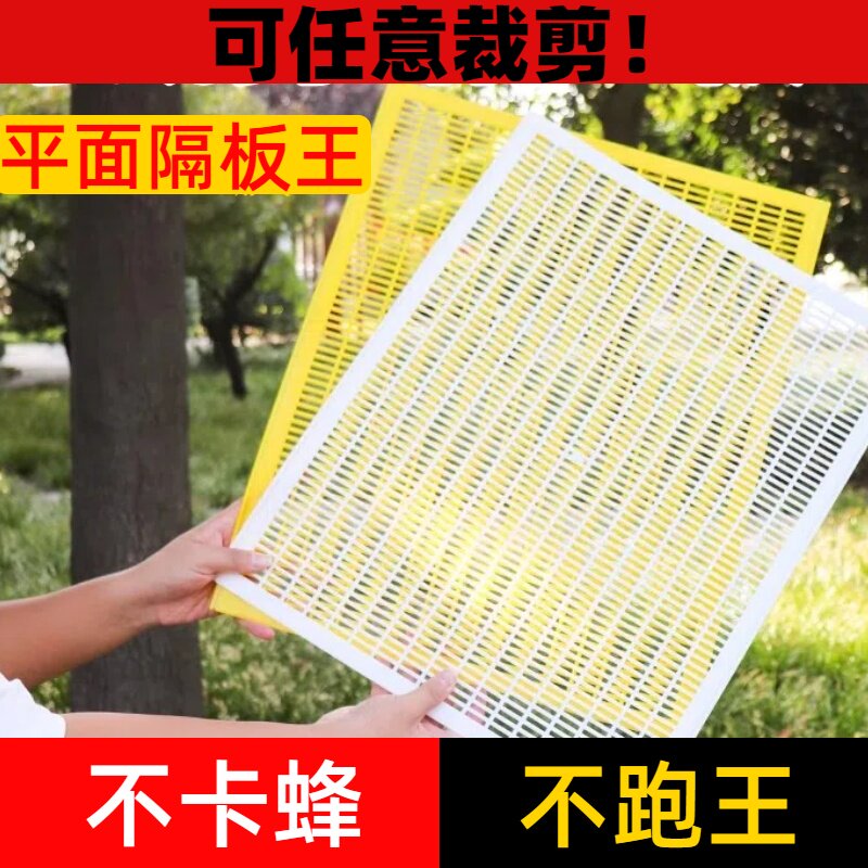 平面隔王板可裁剪塑料隔王片立式