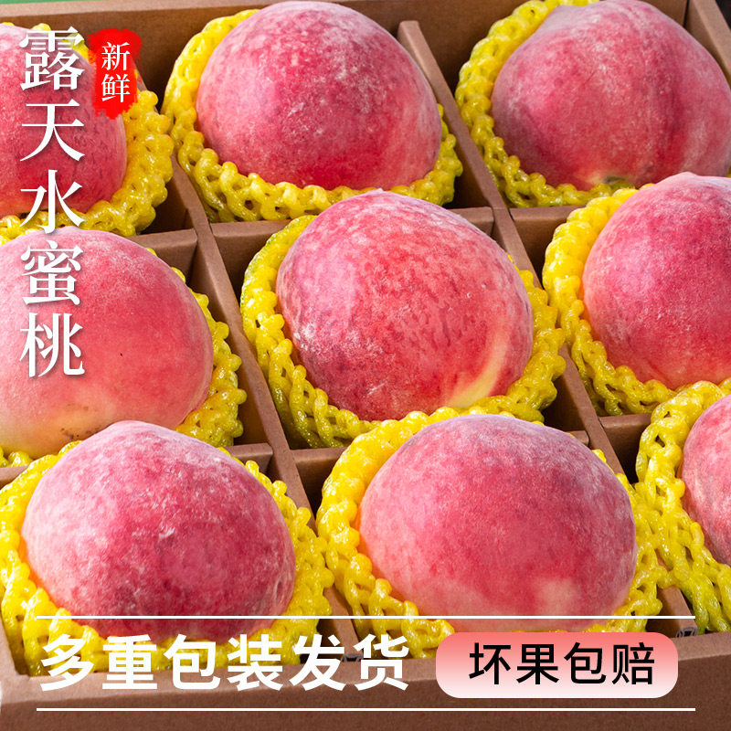 露天水蜜桃5斤水果新鲜当季脆甜大桃子毛桃应季超甜