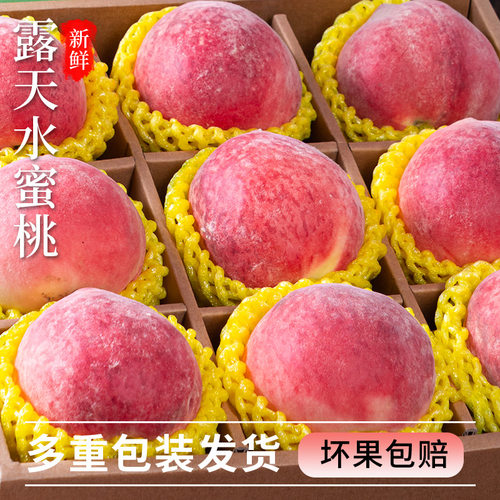 预售露天水蜜桃5斤新鲜水果