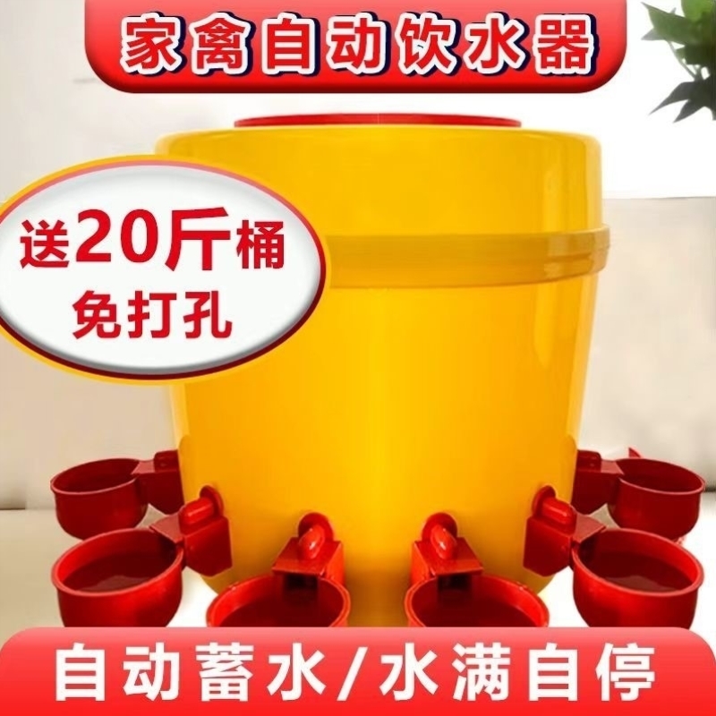 新型喂鸡食槽水槽一体出远门喂鸡神器鸡自动喂食喂水一体机饮水器