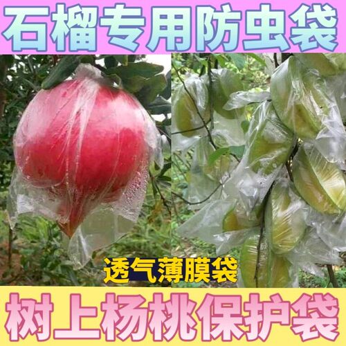 杨桃防虫袋包水果芭乐番石榴透气