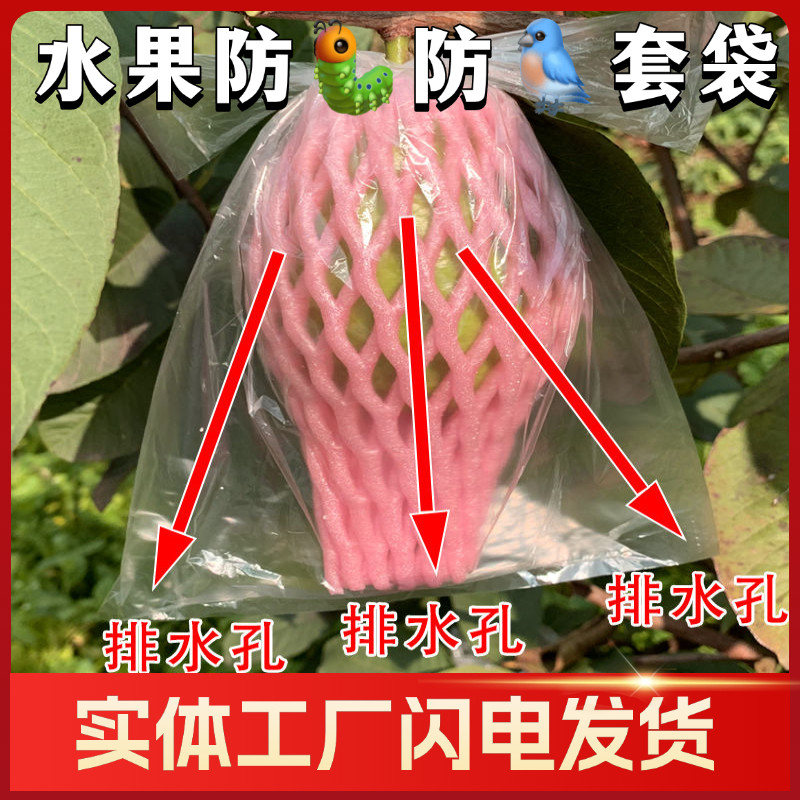 芭乐套袋 番石榴网袋套袋 水果防虫专用袋 番石榴泡沫一体网袋