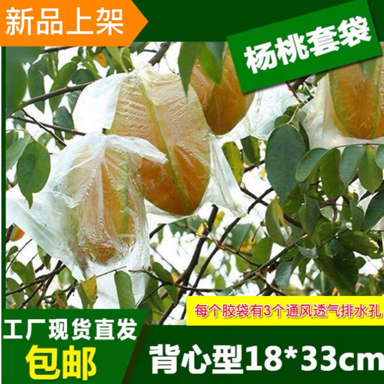 杨桃防虫透气薄膜袋百香果水果