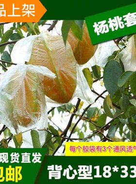 杨桃防虫透气薄膜袋百香果水果