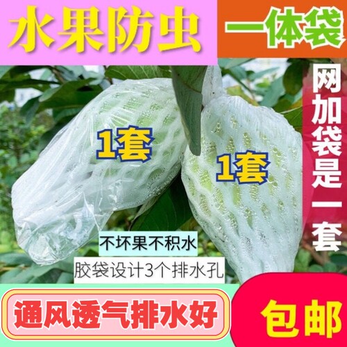 番石榴网套袋芭乐防虫保护袋网袋