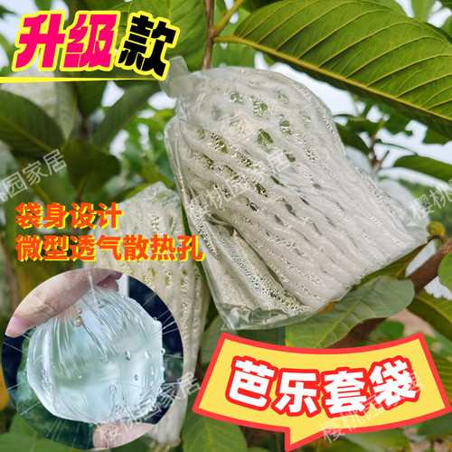 芭乐套袋水果防虫透气网套袋芭乐一体袋杨桃套袋番石榴专用套袋