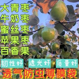 大青枣袋子蜜思枣防虫保护袋牛奶青枣专用透明薄膜袋包苹果枣套袋