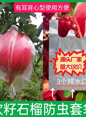 各种水果防虫透气薄膜袋番石榴胶袋石榴袋杨桃防虫苹果梨百香果袋