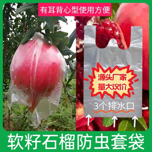 各种水果防虫透气薄膜袋番石榴胶袋石榴袋杨桃防虫苹果梨百香果袋