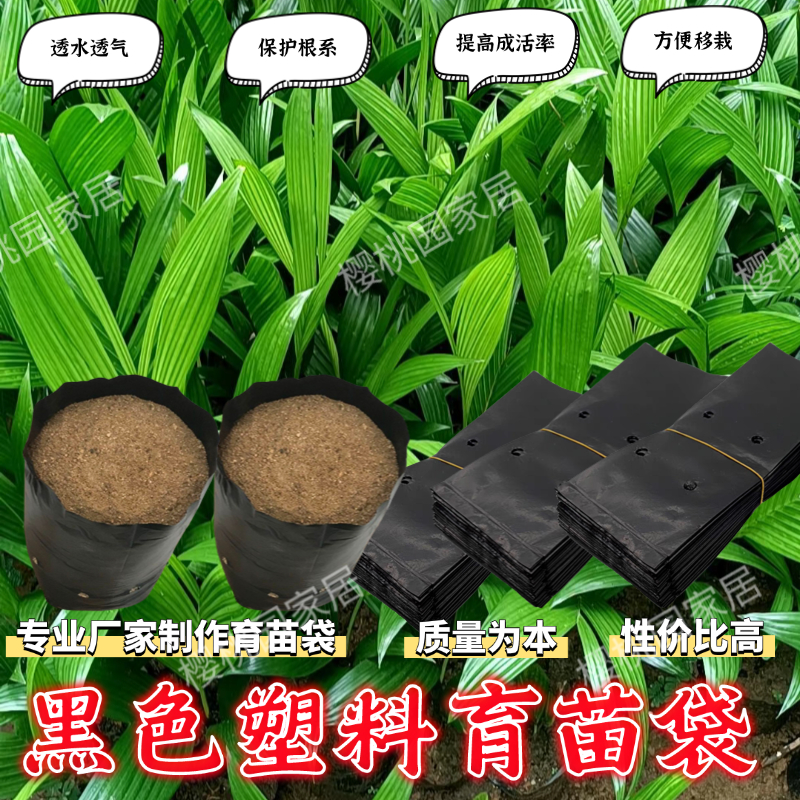 槟榔专用育苗袋桉树营养袋瓜果树苗种植袋橙子柑橘一次性移栽袋子