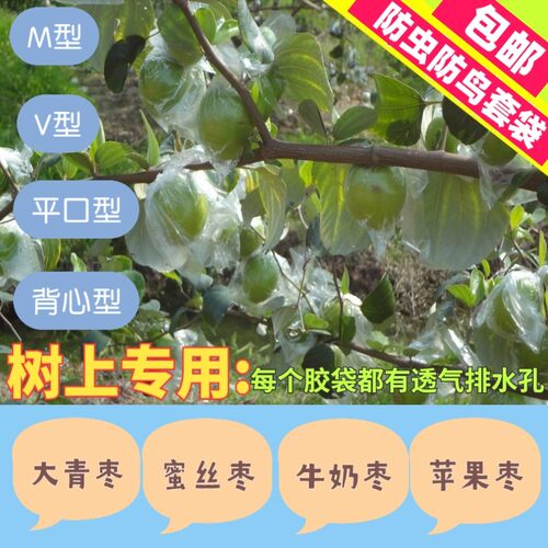 大青枣专用防虫袋蜜思水果透明
