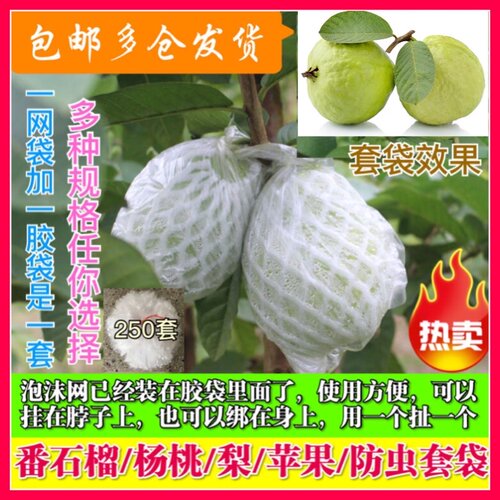 包邮水果保护套网袋芭乐一体