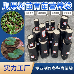 槟榔树苗塑料育苗营养袋大号一次性花盆咖啡桉树种植草莓育苗袋