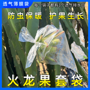 火龙果防冻袋防雨袋子防果蝇防针蜂保护袋 火龙果专用透气薄膜袋