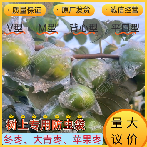 大青枣防虫袋 青枣袋 大青枣专用套袋 青枣保护袋 包邮百香果袋